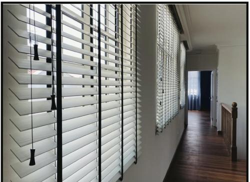 Art amp; Illustration